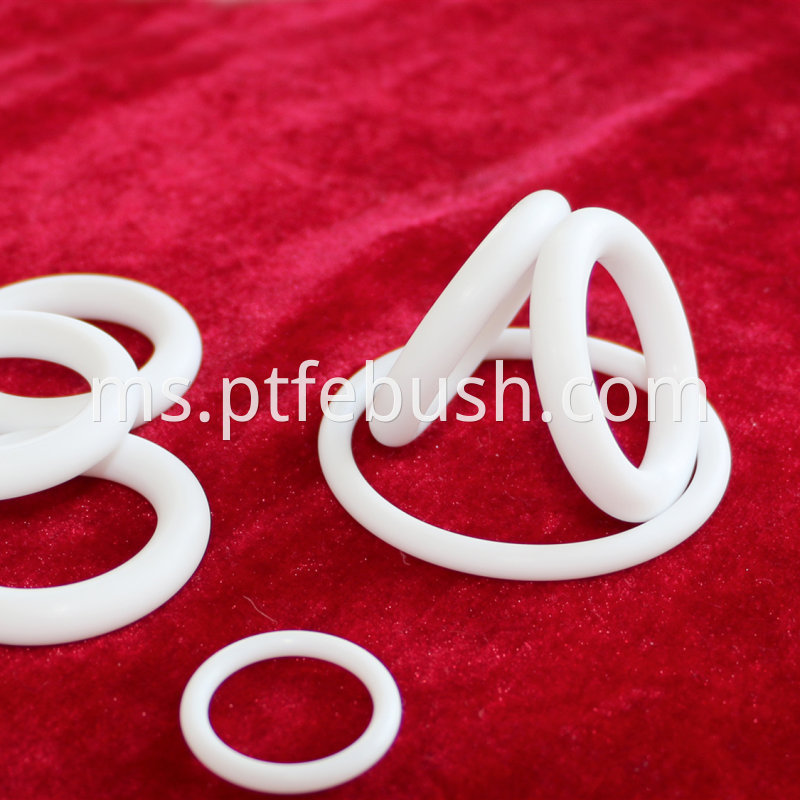 O Ring Seal1 Jpg